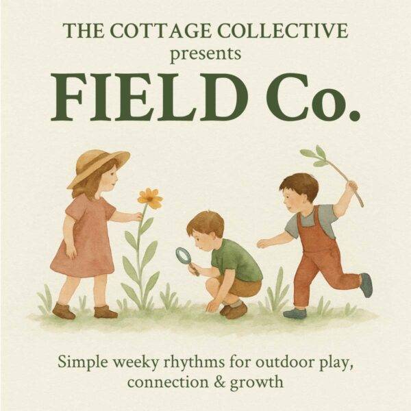 Stay at Home Mom curriculum May